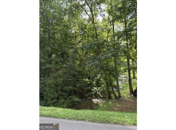 6552 Shoal Creek, Clermont, GA 30527