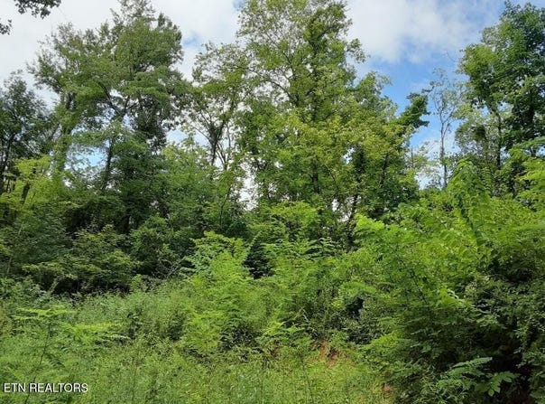 2036 Ridge Rd, Pigeon Forge, TN 37863