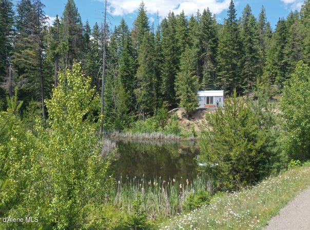 347 Ryan Lp, St. Maries, ID 83861