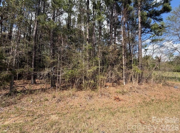 Brooklyn Road, Great Falls, SC 29055