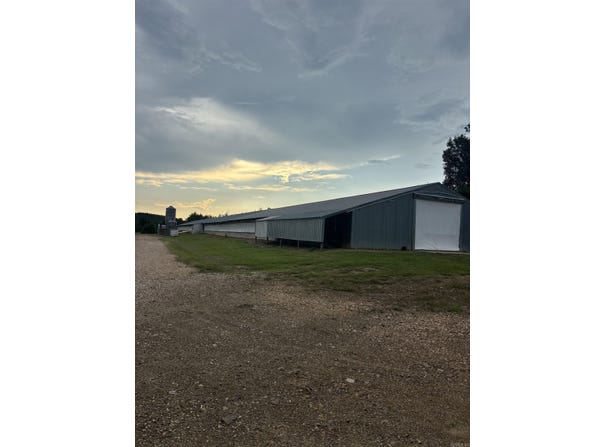 310 Gillham Lake Road, Dierks, AR 71833