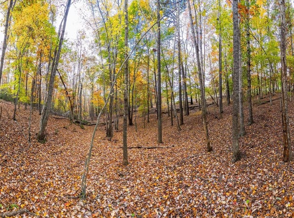 695 WHIPPOORWILL LANE, SHIPMAN, VA 22971