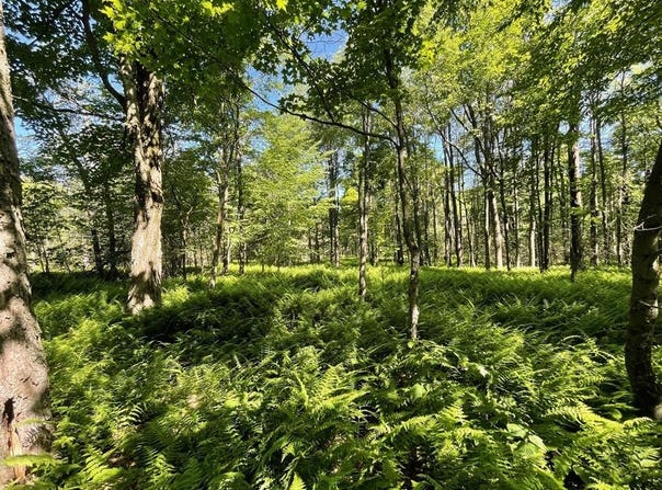 00 Sugar Bush Trail, Galeton, PA 16922
