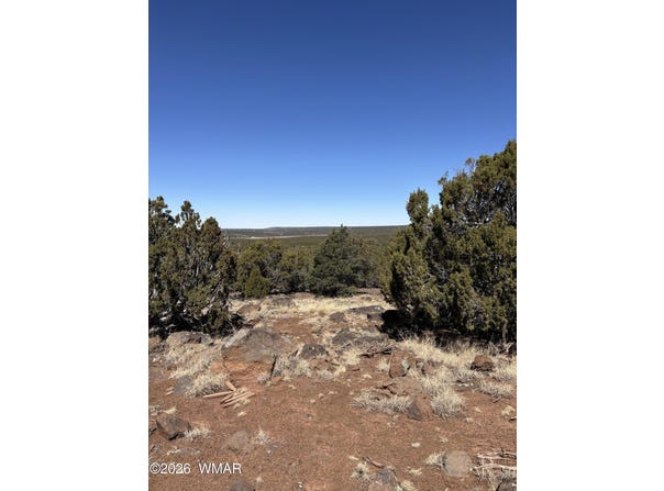 19 County Road 8230, Concho, AZ 85924