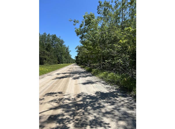 Parcel B Woodmansee Road, Cheboygan, MI 49721