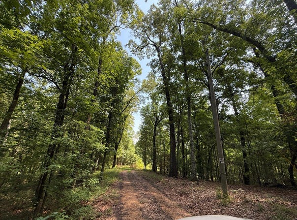 205 HWY 35, McCarley, MS 38940