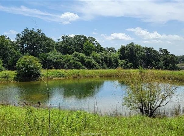 0002 Lone Star Lane, Franklin, TX 77856