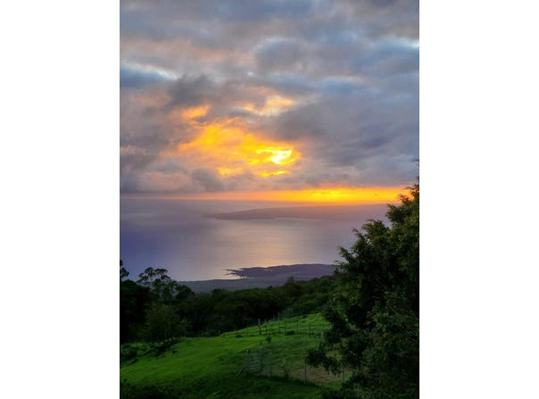 2239 UPPER KANAIO RD, Kula, HI 96790