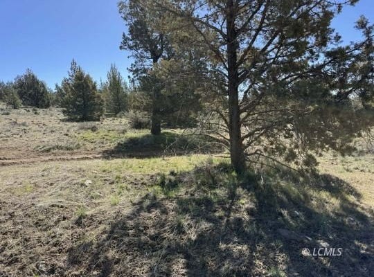 Bluebill Lane, Bonanza, OR 97623
