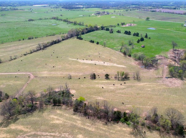0 Farm Road 2040, Crane, MO 65633