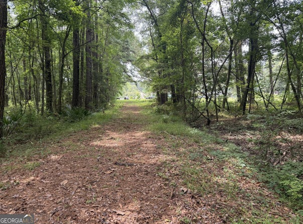 27 Acres W S Highway 17, Townsend, GA 31331