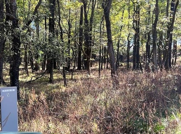 176 Deer Valley Circle, Broken Bow, OK 74728