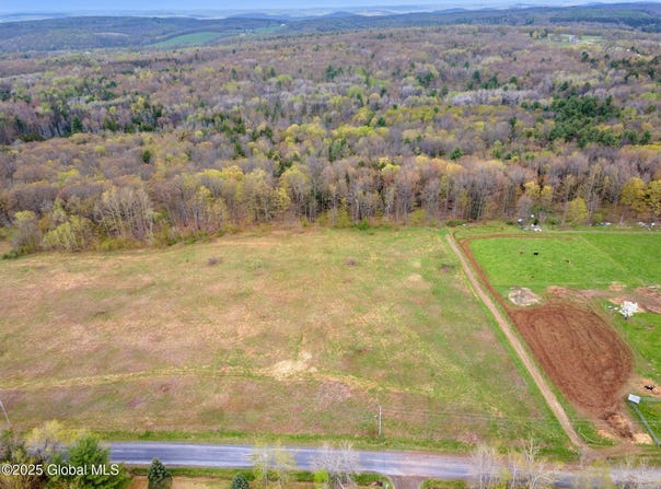 L18 Wylie Horton Rd, Greene, NY 13778