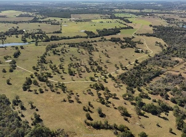 10149 Fm 1428 Farm to Market Road, Midway, TX 75852