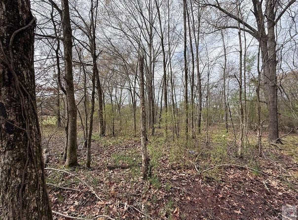 3rd St, Prescott, AR 71857