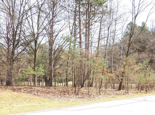 1026 York, Lake Isabella, MI 48893