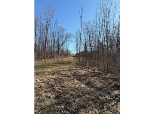 South Holley Road, Clarendon, NY 14429
