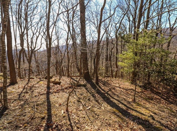 Lot 75 Black Gum Trail, Fancy Gap, VA 24328