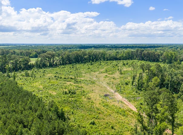 Mule Deer RD, Gilmer, TX 75644
