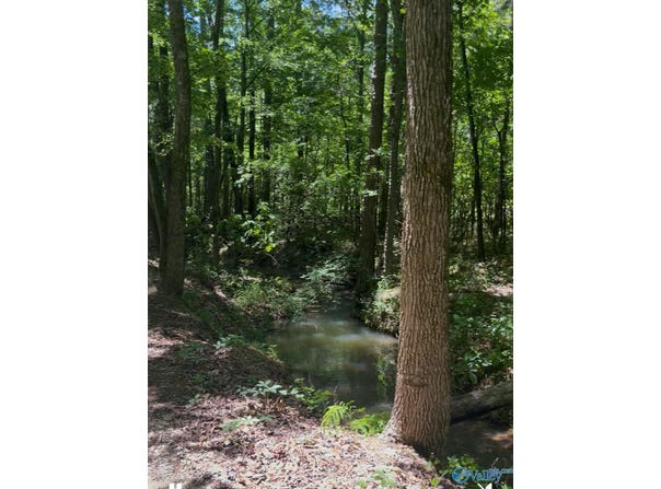 5 Acres Owls Hollow Road, Gadsden, AL 35901