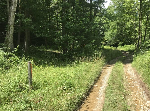 0 South South Fork Road, Stanton, KY 40380