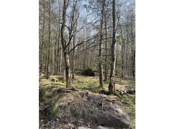 Lot 720 Elk Run Road, Pocono Lake, PA 18347