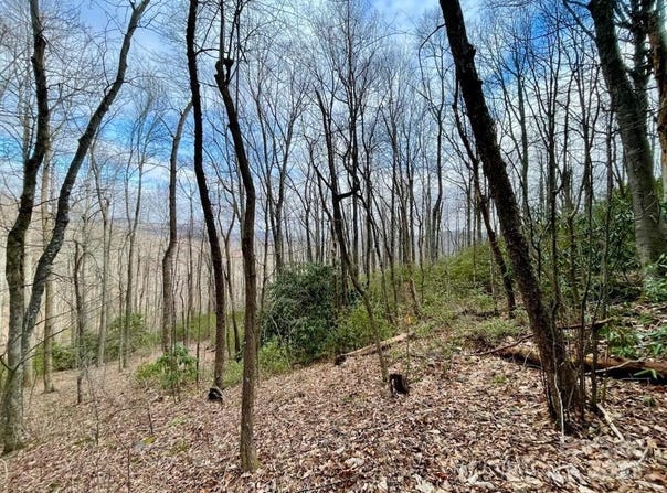 10.02 Acres TBD Rock Garden Road, Black Mountain, NC 28711