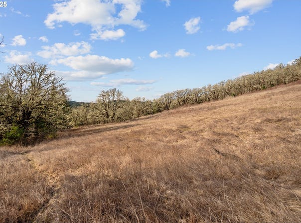 19660 SW EAGLE POINT RD, McMinnville, OR 97128