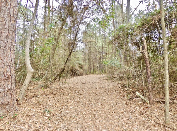 Rocky Branch Rd, Sumrall, MS 39482
