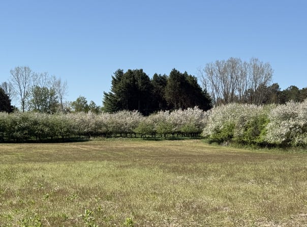 5140 37 Mile Road - Bruce Township, Romeo, MI 48065
