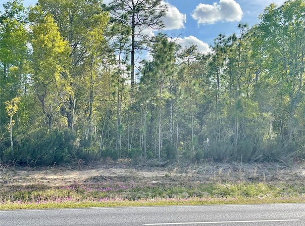 NE HIGHWAY 27 ALT, WILLISTON, FL 32696