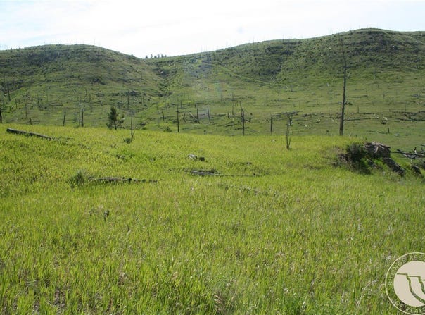 Lot 31 Skunkbelly Lane, Reed Point, MT 59069