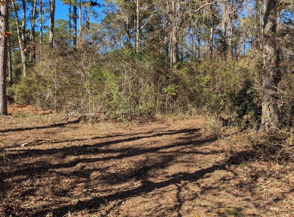 Mossy Oak Trail lot: 2 Of A 3 Lot 2.1.9 Su, Tallahassee, FL 32317