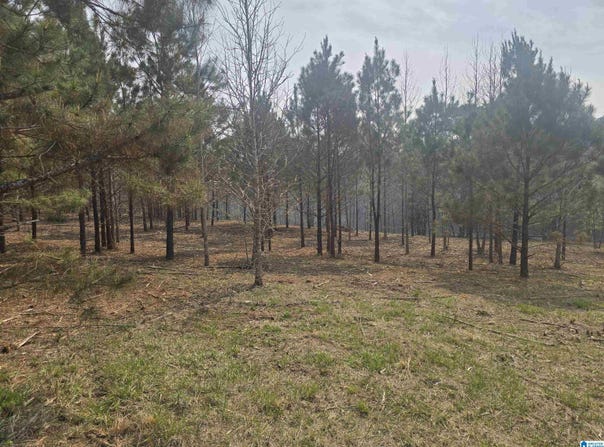 COUNTY ROAD 108 lot: 10, ROCKFORD, AL 35136