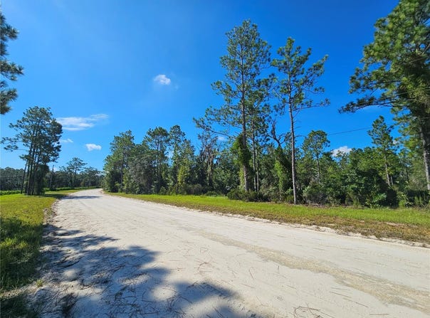 NE 38TH Place, WILLISTON, FL 32696