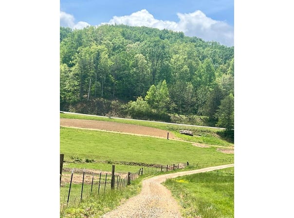 800 Sunrise Road, Blue Ridge, GA 30513