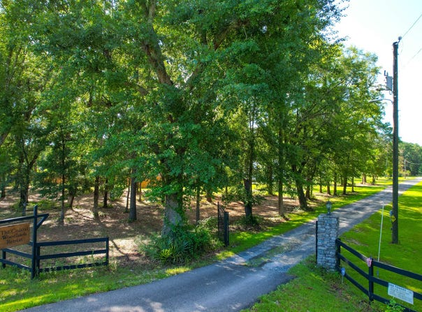 5565 Huckleberry Lane, McClellanville, SC 29458