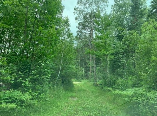 Tbd Mushgee Road, Sand Lake Twp, MN 56636
