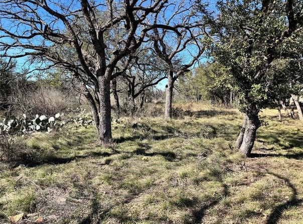 Tbd Lot 240 Feather Bay Drive, Brownwood, TX 76801