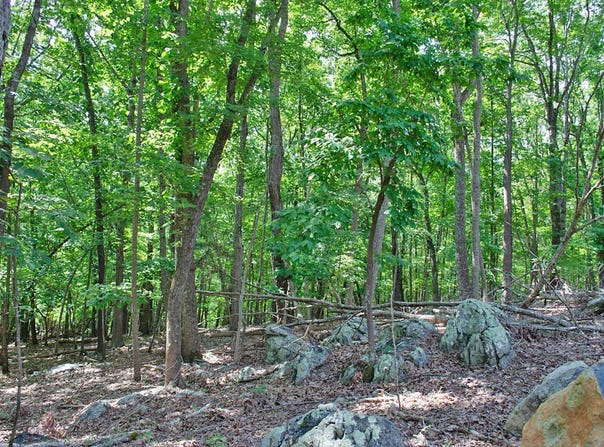148 Lookout Ridge Way, Rougemont, NC 27572