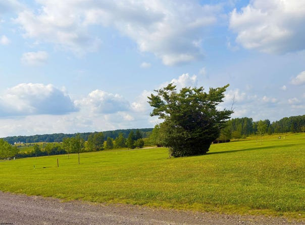 Katy Lane lot: 24, Davis, WV 26260