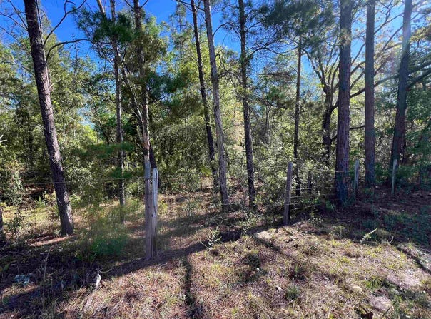 Old Federal Road, Quincy, FL 32351