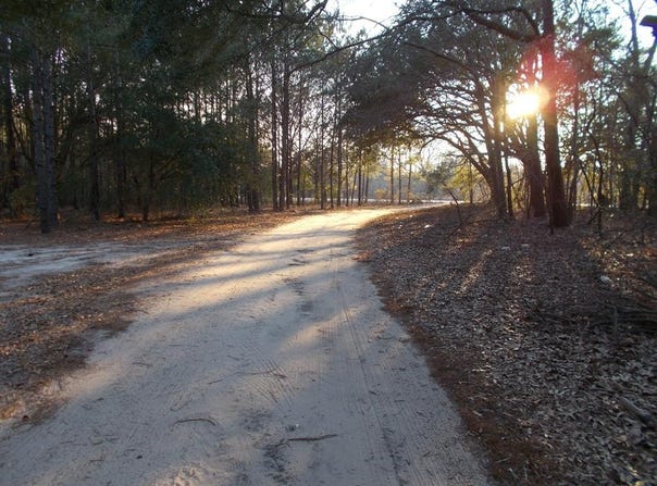 41 Bonaparte Trail, Elloree, SC 29047