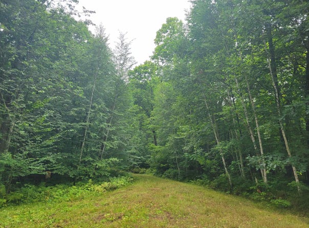 0 ST. JOHNS LANE, Crandon, WI 54520
