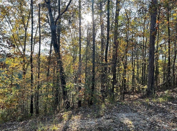 Allison Drive lot: 7, McCalla, AL 35111