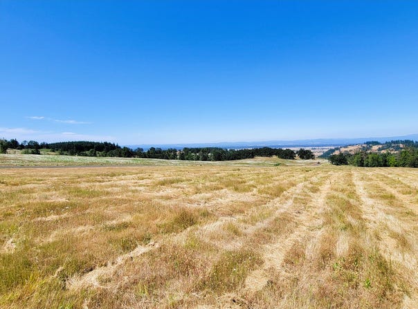 34088 Mt Tom Dr, Harrisburg, OR 97446
