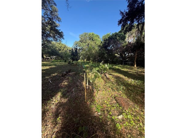 ORANGE Avenue, SANFORD, FL 32773
