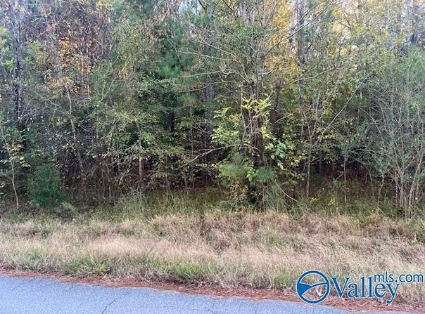 Martin Road, Rainbow City, AL 35906