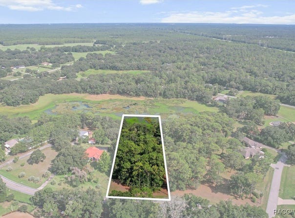 9392 W Emerald Oaks Drive, Crystal River, FL 34428