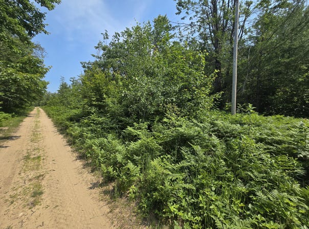Iroquois Trail, Gaylord, MI 49735